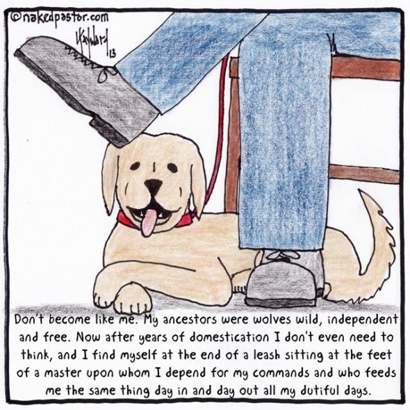 "Don't Be Domesticated" by David Hayward, aka nakedpastor