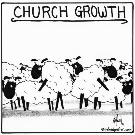 church growth sheep cartoon by nakedpastor david hayward