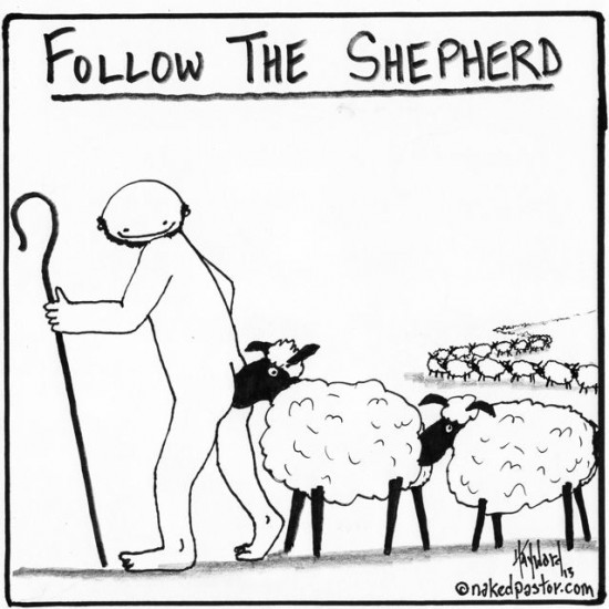 following the shepherd