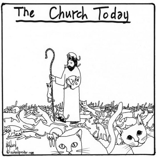 the church and herding cats cartoon by nakedpastor david hayward