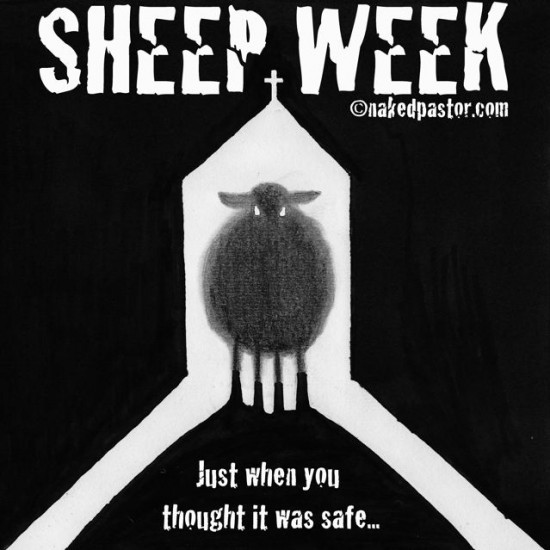 sheep week cartoon by nakedpastor david hayward