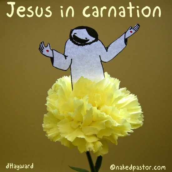 jesus in carnation cartoon by nakedpastor david hayward