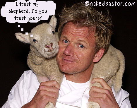 suspect shepherds cartoon by nakedpastor david hayward