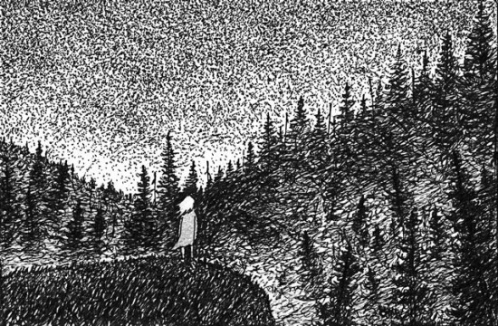 sophia hills drawing by nakedpastor david hayward