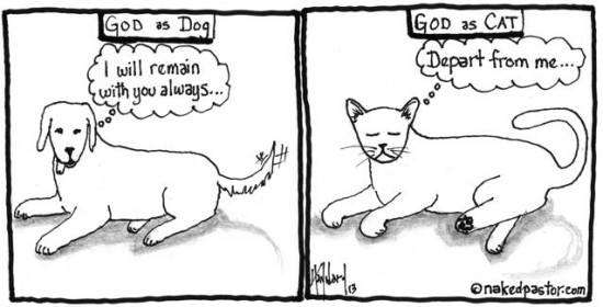 god as dog or cat cartoon by nakedpastor david hayward
