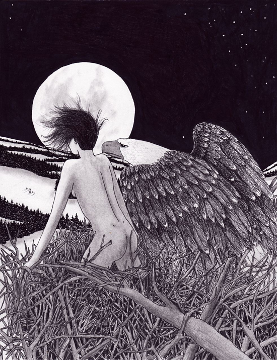 sophia hide drawing by nakedpastor david hayward