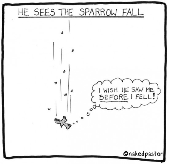 he sees the sparrow fall cartoon by nakedpastor david hayward