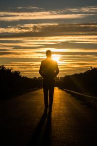 shutterstock_567217618