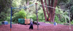 Mostly empty circle after the Maypole dance - but the woods are full!