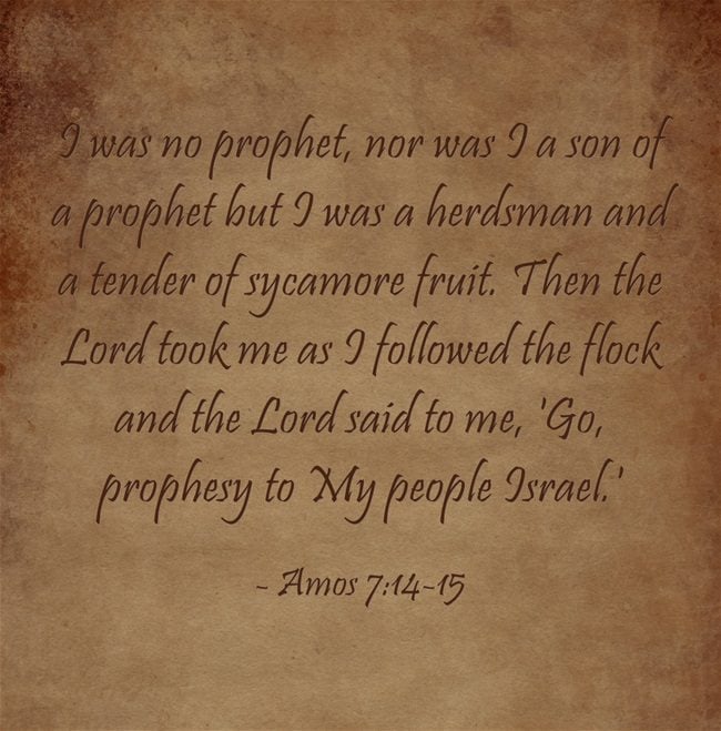 Amos Bible Summary And Study Jack Wellman