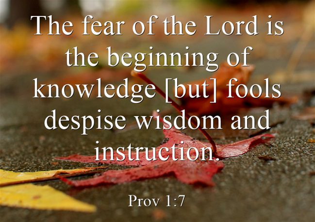 Proverbs 1 Commentary And Bible Study Jack Wellman