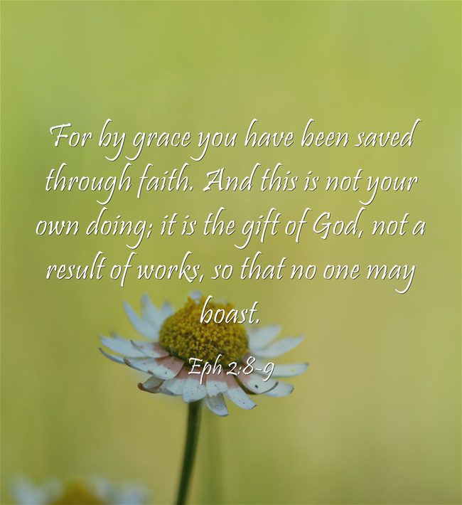 For-by-grace-you-have