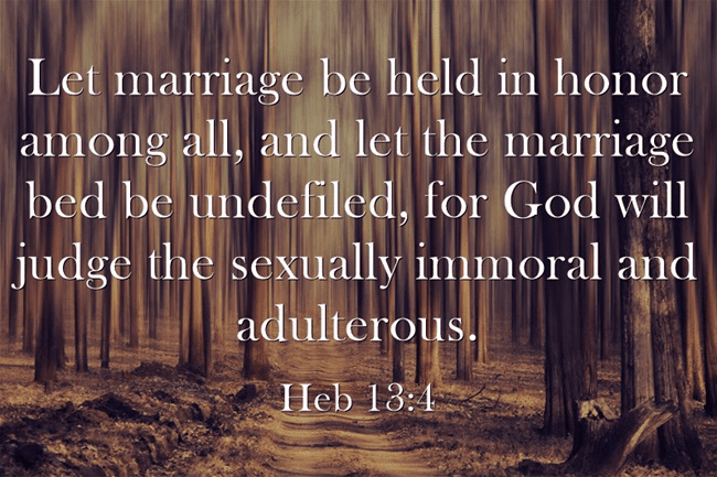 Where does the bible talk about premarital sex