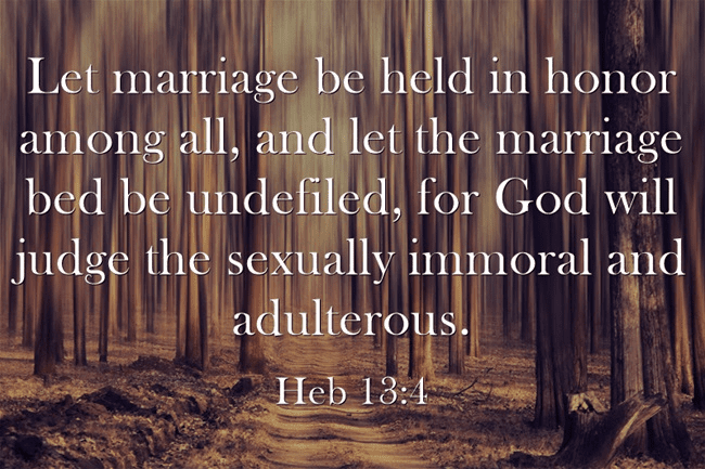 1 Corinthians 7:2 But because there is so much sexual immorality, each man  should have his own wife, and each woman her own husband.