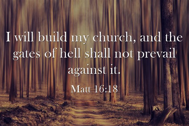 I-will-build-my-churchB