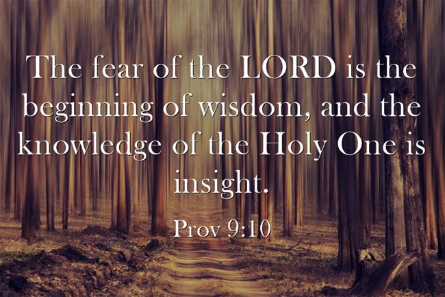 fear of god in the bible