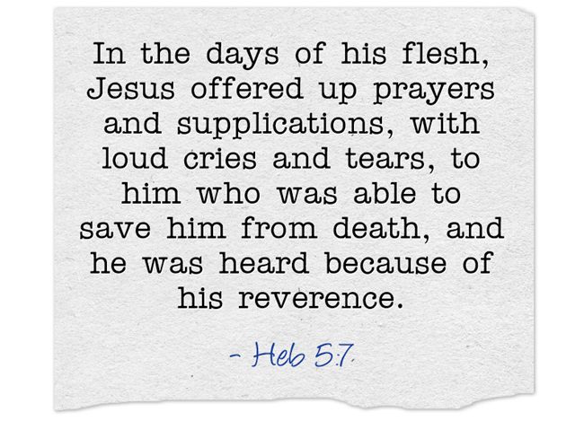 In-the-days-of-his-flesh (3)