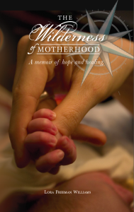 The-Wilderness-of-Motherhood-book-cover (1)