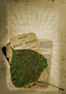"Variations on a Bible Collage" by Billy Alexander (2014), via FreeImages.com