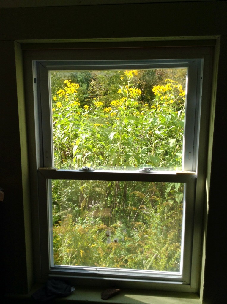 photo (13)