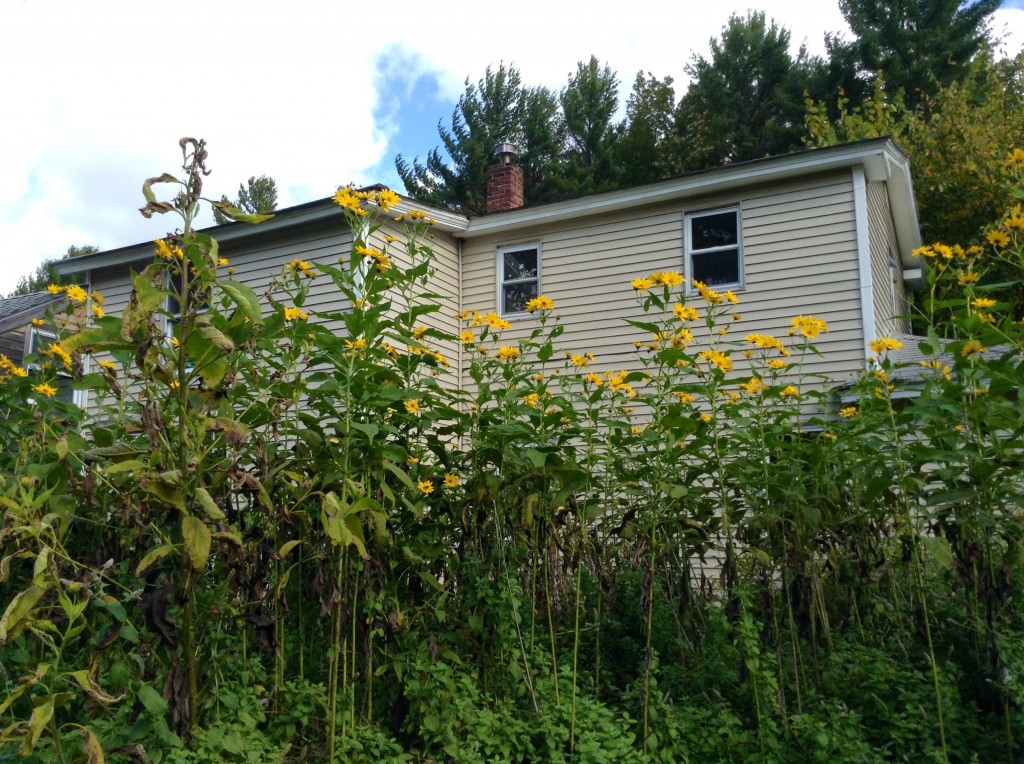 photo (14)