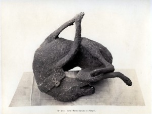 Rive,_Roberto_(18..-1889)_-_n._493_-_Cane_morto_trovato_in_Pompei