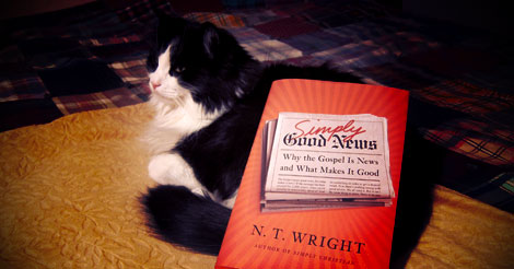 The book I'm giving away (cat not included).
