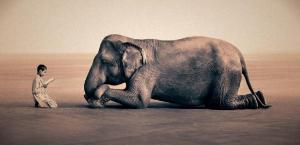 elephantashes-and-snow-gregory-colbert