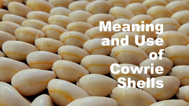 Meaning And Use Of Cowrie Shells | Lilith Dorsey