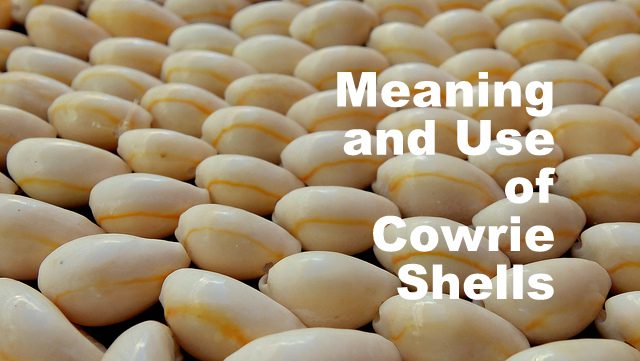 Cowrie Shells (Fertility, Birth, Sexuality, Menstruation, Divination)