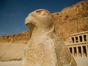 Hawk outside temple of Hatshepsut. Photo by Mohd Tarmizi. Licensed under CC 2.o