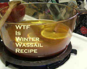 WTF is Winter Wassail Recipe photo by Lilith Dorsey. All rights reserved.
