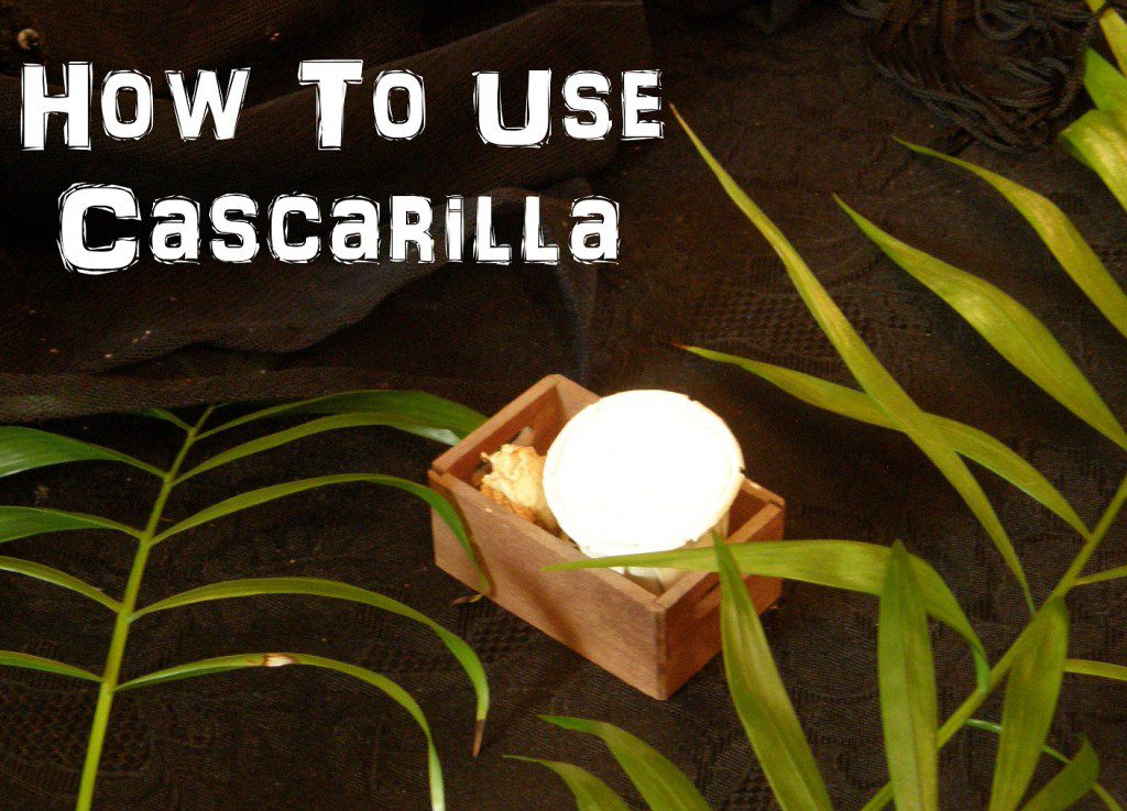 cascarilla_100 pack cascarilla eggshell powder 100 cascarillas efun