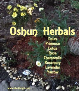 Oshun herbals photo by Lilith Dorsey. All rights reserved.
