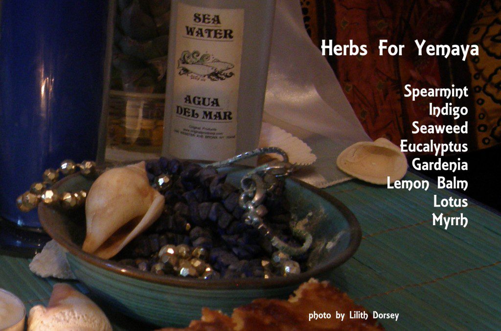 Herbs for the Orisha Yemaya. Photo by Lilith Dorsey. All rights reserved.