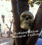 #31DaysofSamhain instagram challenge photo by Lilith Dorsey. All rights reserved.