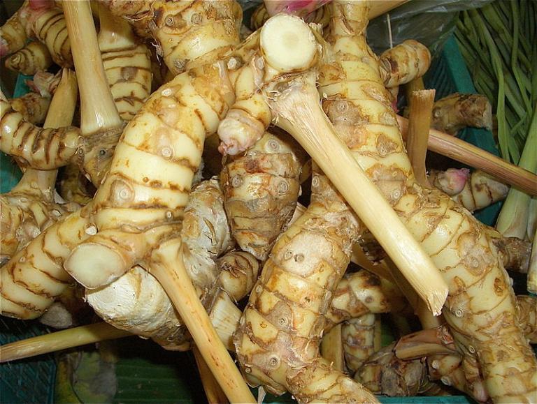 What is Galangal? Your Guide to the Spice of Life - Healthy Hildegard