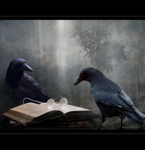 Crows with book and glasses