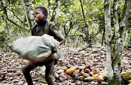 Cocoa-Child-Laborer