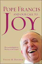 Here's a book about Pope Francis that I haven't read yet, but I love the cover.