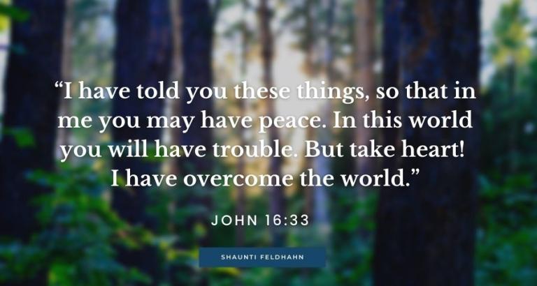 Bible verse of John 16:33