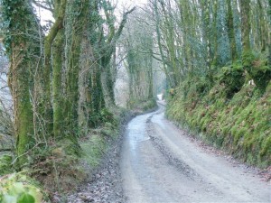 The Welsh land near Skanda Vale, a Hindu mandir.