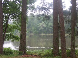 A view from our picnic table looking out at Lake Raven.