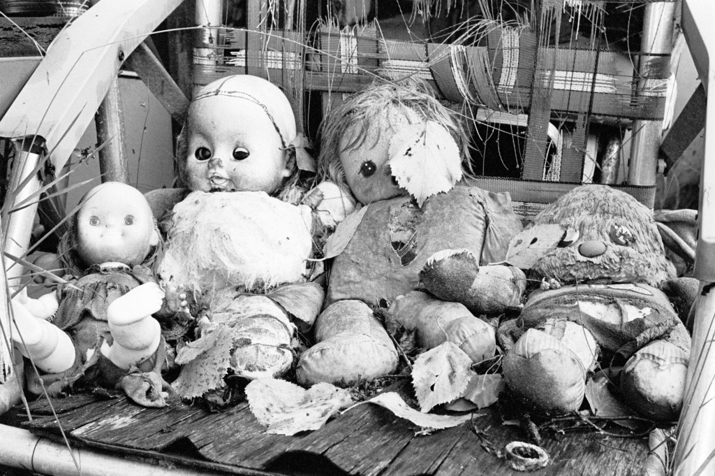 Damn it Dolls