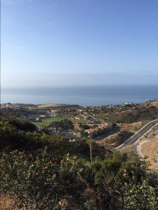 Pepperdine