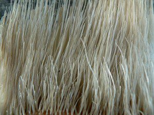 640px-Baleen_P1180087