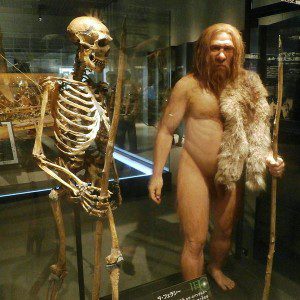 Skeleton_and_restoration_model_of_Neanderthal_La_Ferrassie_1