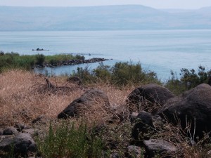 The Bay of Parables
