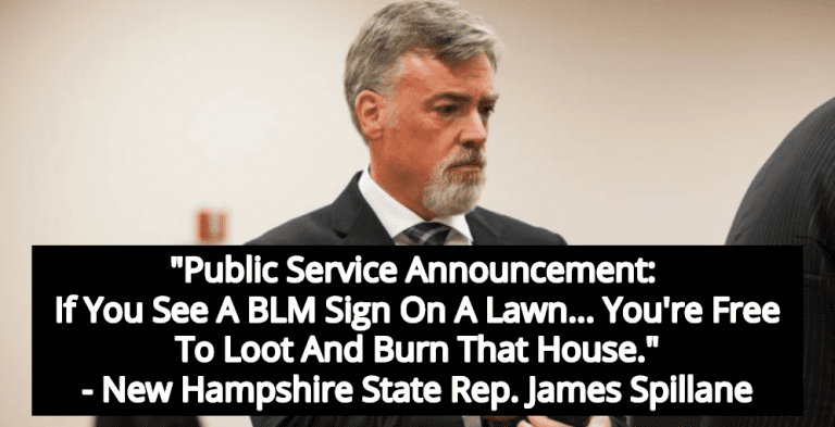 GOP Lawmaker Calls For Burning, Looting Homes With Black Lives Matter Signs (Image via Reddit)