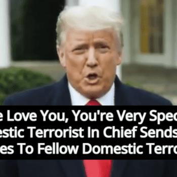 Trump S Message To U S Capitol Terrorists We Love You You Re Very Special Michael Stone